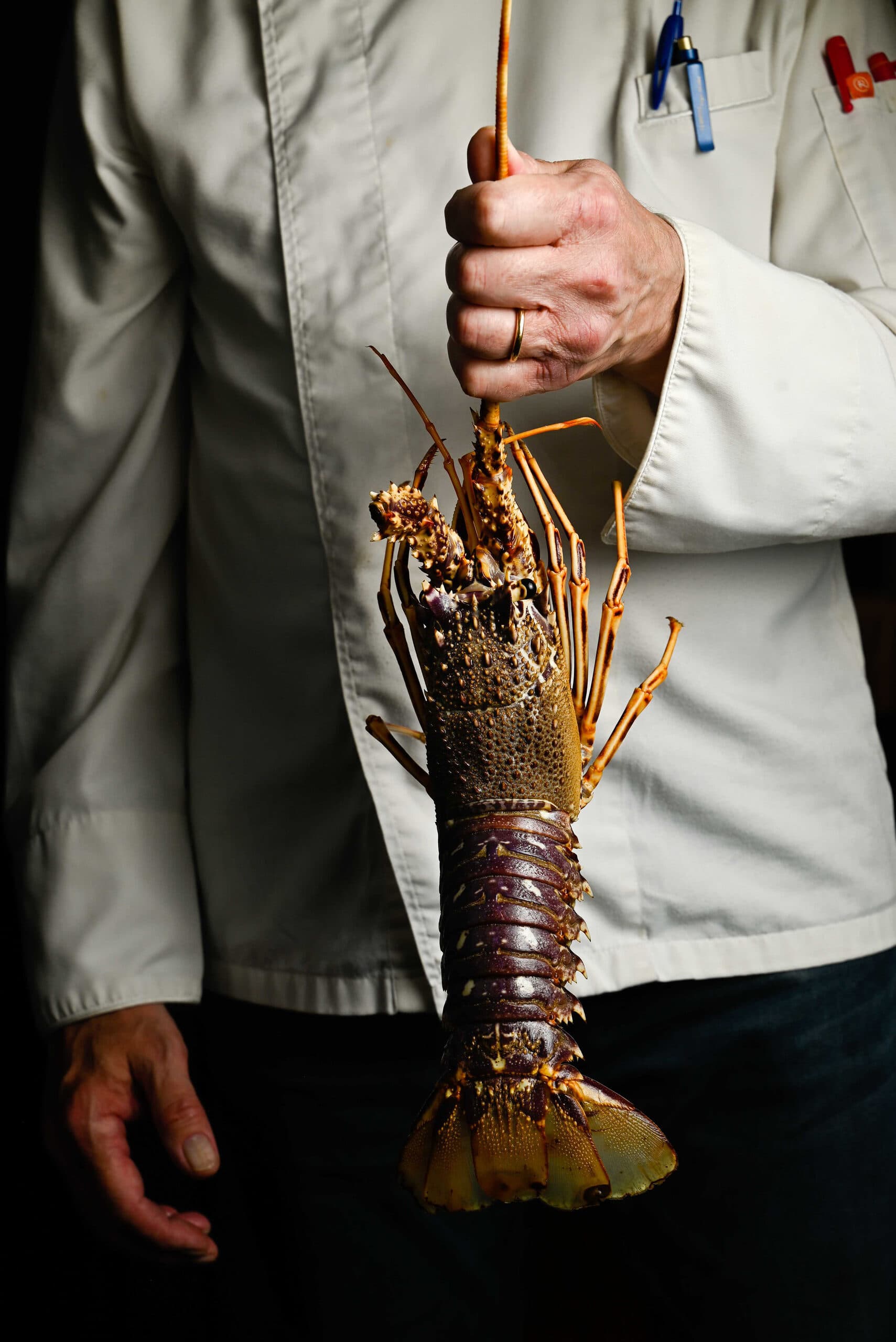 Langostino fresco del Restaurante Hispania